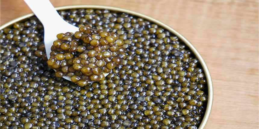 caviar