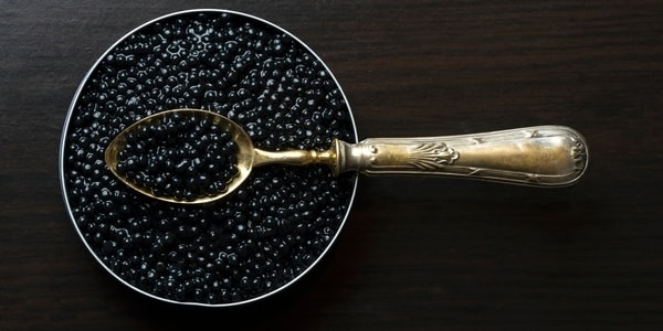 Kaluga Caviar: Everything You Need to Know About This Sustainable Luxury