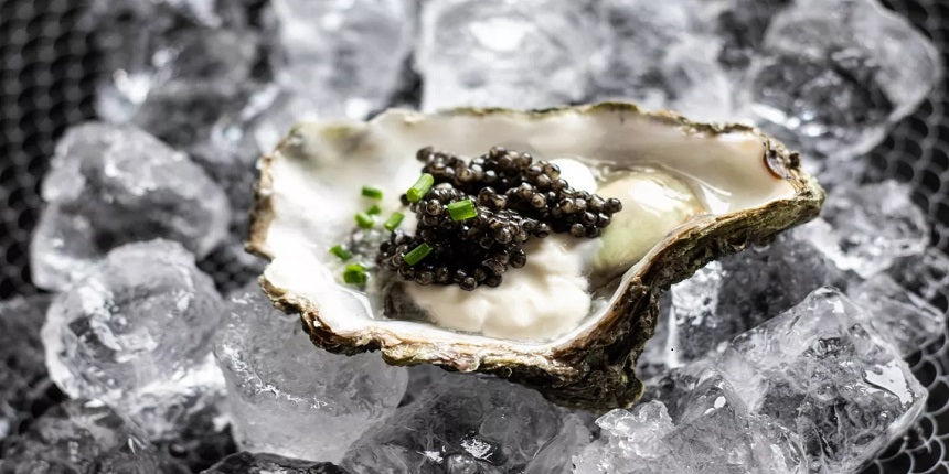 Oysters and Caviar: The Perfect Caviar Companion