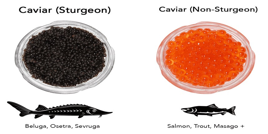 premium caviar vs cheap caviar
