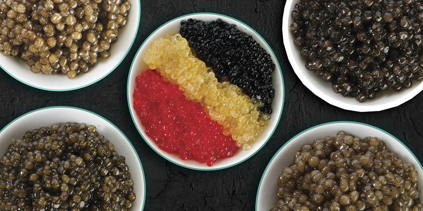 Sturgeon vs Non-Sturgeon Caviar: What's the Difference? – STUR CAVIAR