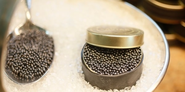 The History of Caviar: From Persian Courts to Global Tables