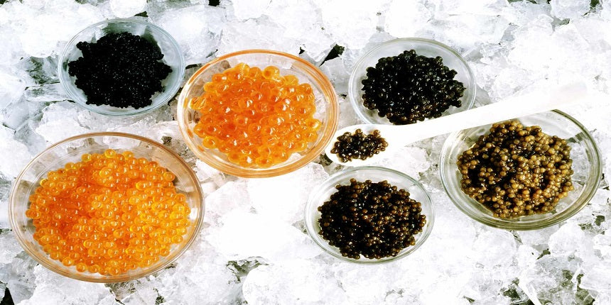 the best caviar in the world