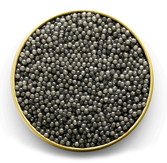 Clssic Sevruga caviar