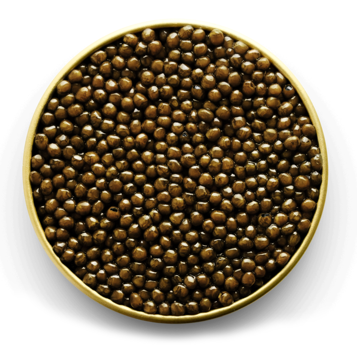 imperial kaluga caviar