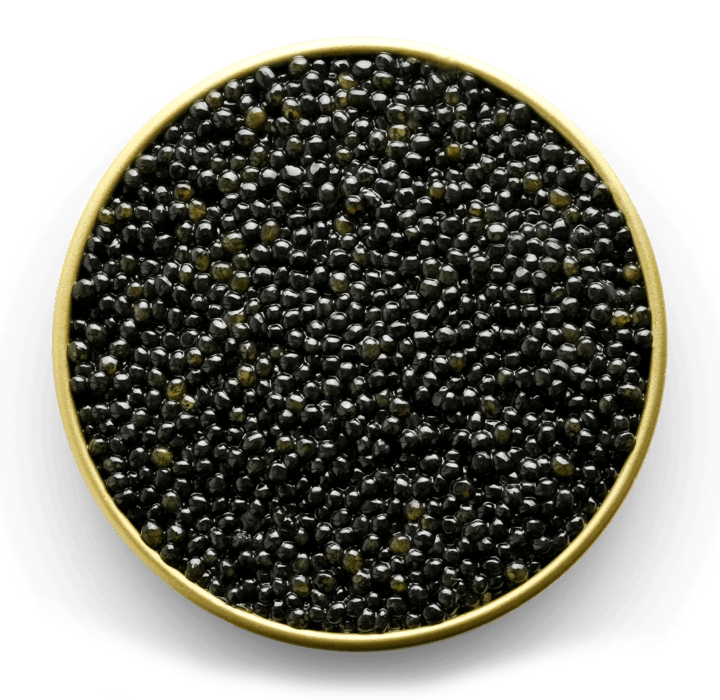 premium siberian sturgeon caviar